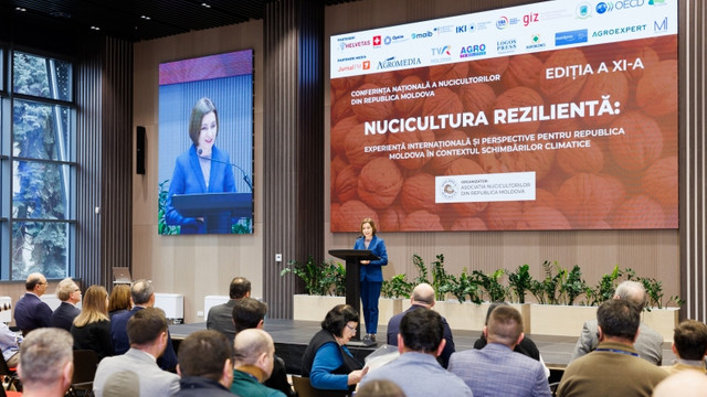 Maia Sandu a participat la Conferința Națională a Nucicultorilor din R. Moldova. 3900 de hectare de livezi vor fi replantate cu soiuri mai productive