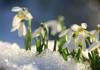 METEO | Va ninge în prima zi de primăvară. De luni, vremea se încălzește