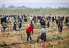 Campania „Generația Pădurii”: Circa 3500 de hectare de pădure vor fi plantate și reabilitate în această primăvară