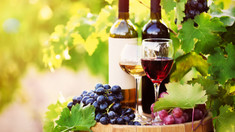Conferința Națională Vitivinicolă: Vinul moldovenesc pe mesele consumatorilor europeni