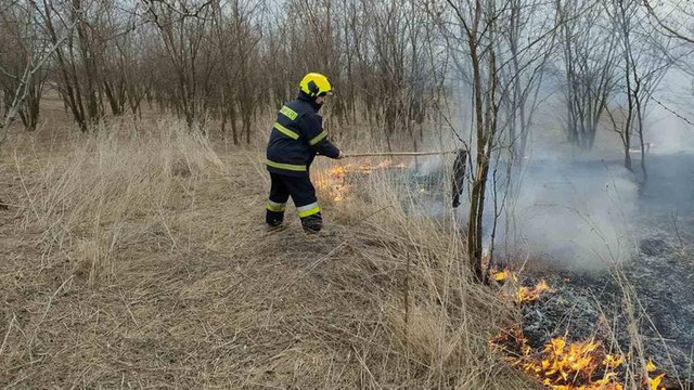 Peste 180 hectare de vegetație au ars în ultimele ore