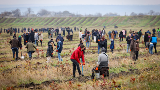 Campania „Generația Pădurii”: Circa 3500 de hectare de pădure vor fi plantate și reabilitate în această primăvară Campania „Generația Pădurii”: Circa 3500 de hectare de pădure vor fi plantate și reabilitate în această primăvară