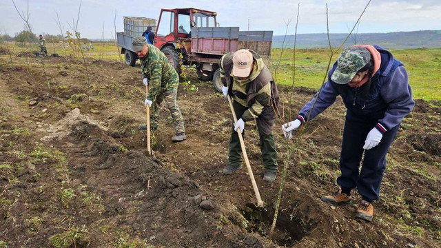 Sâmbătă, 15 martie, începe campania națională de împădurire