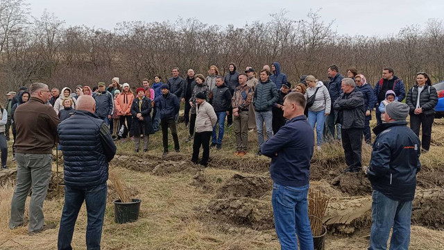 Deputații au plantat puieți de salcâm în fâșia forestieră din Nisporeni. Igor Grosu: „Să ne alăturăm campaniei lansate de Ministerul Mediului”