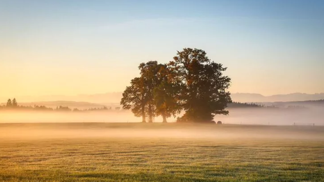 METEO | Ceață slabă și cer noros, dar cu temperaturi generoase  METEO | Ceață slabă și cer noros, dar cu temperaturi generoase