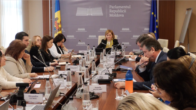 Platforma Femeilor Deputate a organizat consultări publice în privința legii privind egalitatea salarială  Platforma Femeilor Deputate a organizat consultări publice în privința legii privind egalitatea salarială
