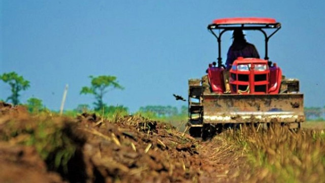 Agricultorii vor putea cere rambursarea impozitul funciar pentru anul 2024 din contul TVA acumulat în cont Agricultorii vor putea cere rambursarea impozitul funciar pentru anul 2024 din contul TVA acumulat în cont