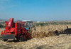 Agricultorii își pot rambursa TVA-ul mai ușor, pragul scade la 70%