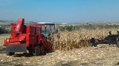 Agricultorii își pot rambursa TVA-ul mai ușor, pragul scade la 70%