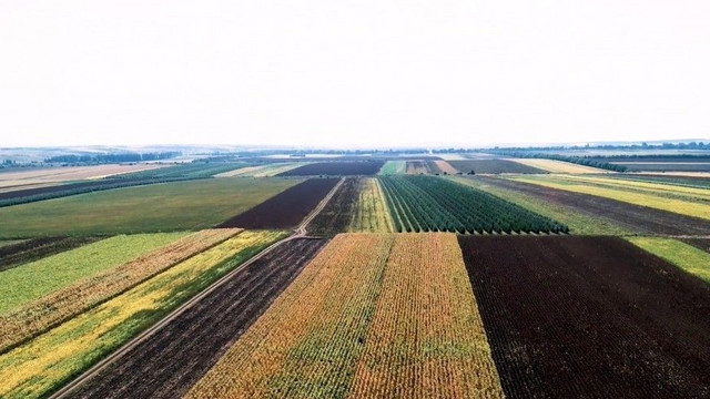Noul Cod Funciar a intrat în vigoare. Ce beneficii aduce pentru agricultori  Noul Cod Funciar a intrat în vigoare. Ce beneficii aduce pentru agricultori