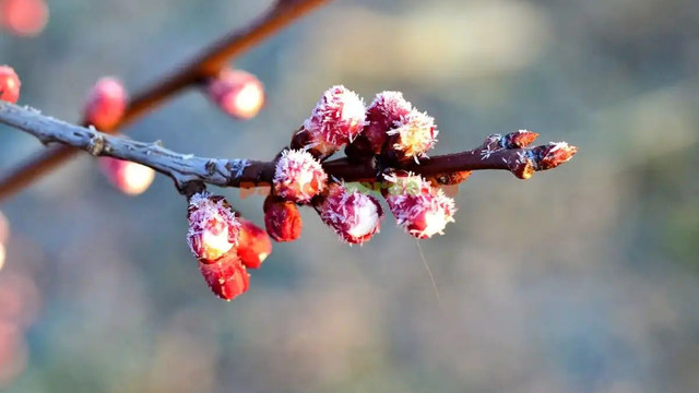 Mase de aer rece se îndreaptă spre Republica Moldova. Minimele nocturne ar putea coborî până la -3 grade Celsius
