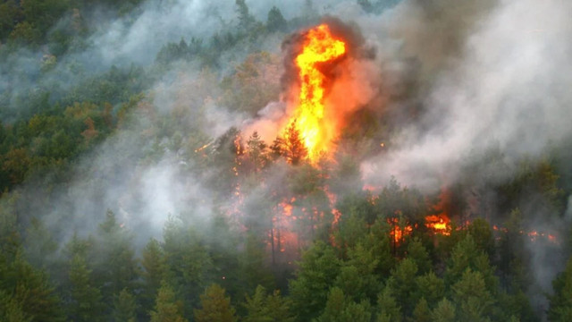 „Incident major” declarat în Irlanda de Nord, ca urmare a izbucnirii unui puternic incendiu de vegetație. Temperaturi mai ridicate și uscate decât cele normale
 „Incident major” declarat în Irlanda de Nord, ca urmare a izbucnirii unui puternic incendiu de vegetație. Temperaturi mai ridicate și uscate decât cele normale