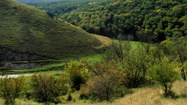 49 milioane de dolari pentru împădurirea a încă 7 mii de hectare în zonele semi-aride din sudul Republicii Moldova 49 milioane de dolari pentru împădurirea a încă 7 mii de hectare în zonele semi-aride din sudul Republicii Moldova