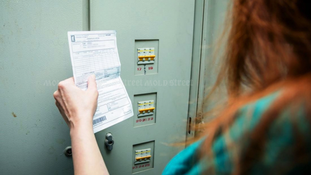 Peste 550 de companii au beneficiat de compensații la energia electrică în valoare de 24,5 milioane de lei  Peste 550 de companii au beneficiat de compensații la energia electrică în valoare de 24,5 milioane de lei