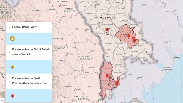 ANSA anunță noi focare de pestă porcină africană, în raioanele Cahul și Strășeni, și un focar de rabie ANSA anunță noi focare de pestă porcină africană, în raioanele Cahul și Strășeni, și un focar de rabie
