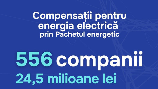 Guvernul anunță că a transferat peste 24 de milioane de lei în conturile a peste 550 de companii pentru compensații la energia electrică  Guvernul anunță că a transferat peste 24 de milioane de lei în conturile a peste 550 de companii pentru compensații la energia electrică