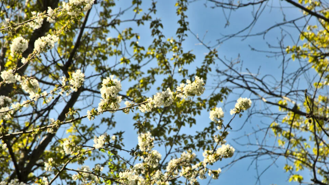 METEO | Vremea se încălzește. Ce temperaturi se înregistrează astăzi, 12 aprilie METEO | Vremea se încălzește. Ce temperaturi se înregistrează astăzi, 12 aprilie