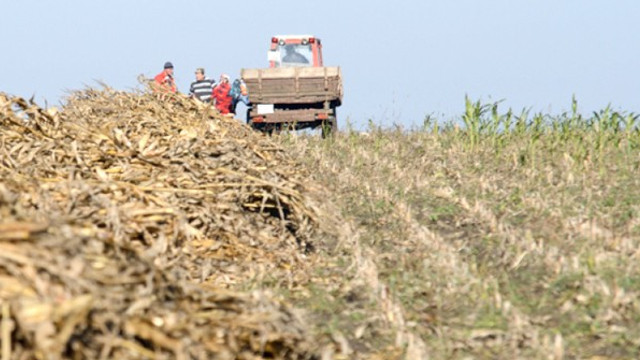 Programul de rambursare a TVA pentru producătorii agricoli, extins până în luna iunie 2026 Programul de rambursare a TVA pentru producătorii agricoli, extins până în luna iunie 2026
