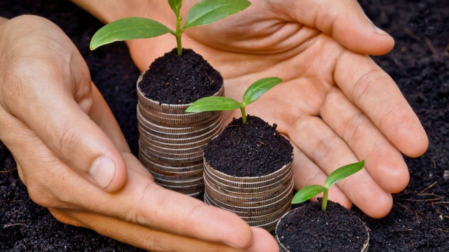 228 de fermieri au primit subvenții în valoare de 64 de milioane de lei săptămâna trecută 228 de fermieri au primit subvenții în valoare de 64 de milioane de lei săptămâna trecută