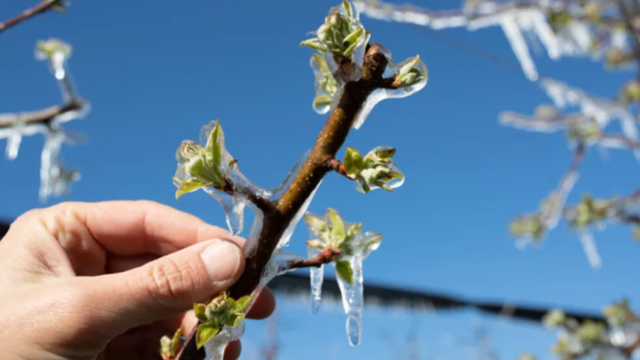 Intră în vigoare codul galben de înghețuri, anunțat de meteorologi pentru orele nocturne și ale dimineții