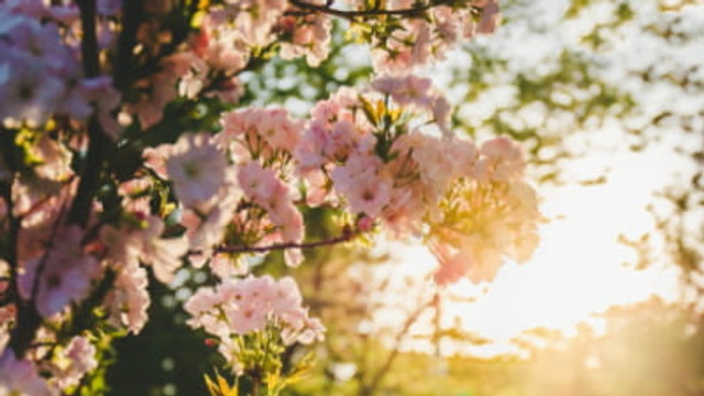 METEO | Miercuri, vremea se va menține frumoasă și caldă
