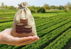 Noi plăți pentru agricultori, din fondul național: 10 milioane de lei într-o săptămână