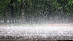 Ploi de lungă durată în Republica Moldova. Meteorologii au emis cod galben 