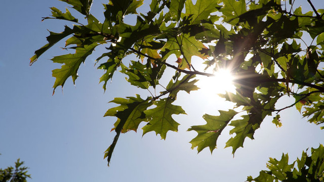 METEO | Vreme frumoasă și călduroasă, cu posibilitate de instabilitate atmosferică. Ce temperaturi vom avea astăzi, 4 mai  METEO | Vreme frumoasă și călduroasă, cu posibilitate de instabilitate atmosferică. Ce temperaturi vom avea astăzi, 4 mai