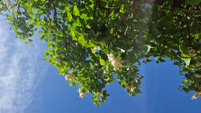 METEO | Vreme caldă, dar instabilă. Câte grade se vor înregistra astăzi, 5 mai 