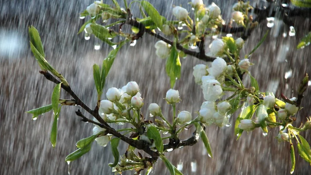 METEO | Vreme mohorâtă și ploi în aversă. Ce temperaturi vom avea astăzi, 9 mai