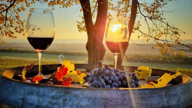 Republica Moldova va deveni capitala mondială a vinului, fiind gazdă, în premieră, a Congresului Mondial al Viei și Vinului
 Republica Moldova va deveni capitala mondială a vinului, fiind gazdă, în premieră, a Congresului Mondial al Viei și Vinului