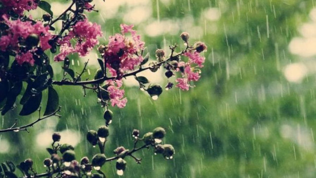 METEO | Ploi slabe și temperaturi care vor urca doar până la 15 grade astăzi, 17 mai 