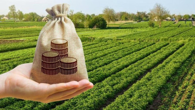 Noi plăți pentru agricultori, din fondul național: 10 milioane de lei într-o săptămână Noi plăți pentru agricultori, din fondul național: 10 milioane de lei într-o săptămână