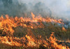 Cod galben de pericol de incendiu pe întreg teritoriul Republicii Moldova 