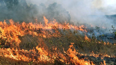 Cod galben de pericol de incendiu pe întreg teritoriul Republicii Moldova 