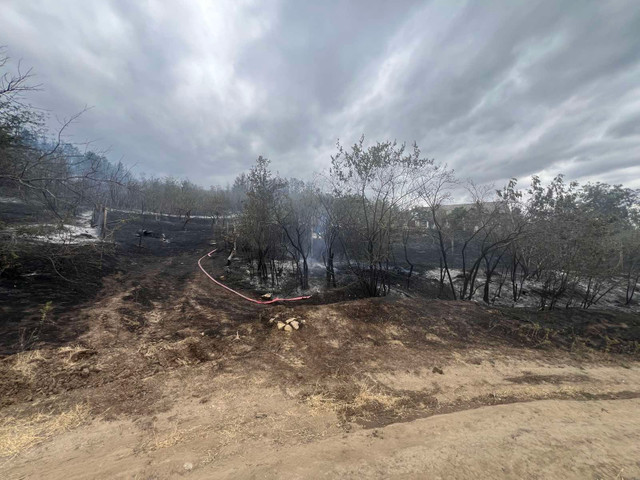 FOTO | Incendiu major de vegetație în raionul Căușeni. Pompierii au salvat două persoane și două case din calea flăcărilor