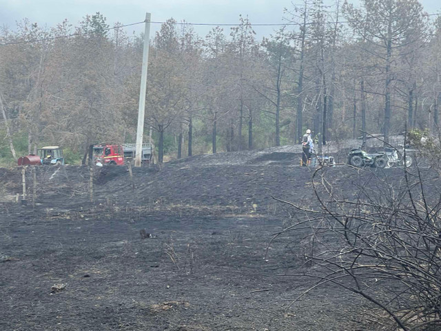 FOTO | Incendiu major de vegetație în raionul Căușeni. Pompierii au salvat două persoane și două case din calea flăcărilor