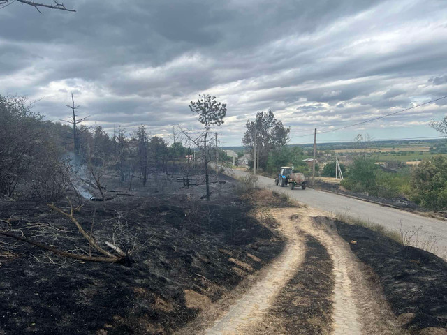 FOTO | Incendiu major de vegetație în raionul Căușeni. Pompierii au salvat două persoane și două case din calea flăcărilor