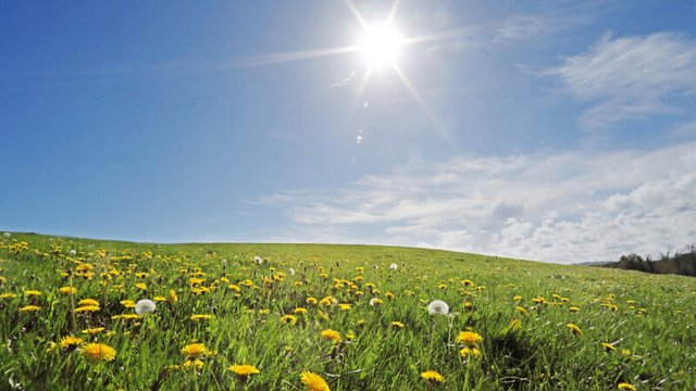 METEO | Vreme caldă, cu temperaturi ce vor urca până la 32 de grade Celsius, astăzi, 5 iunie 