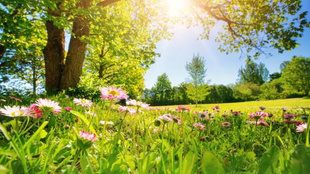 METEO | Vremea se menține caldă și stabilă, pe întreg teritoriul țării METEO | Vremea se menține caldă și stabilă, pe întreg teritoriul țării