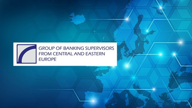 Banca Națională a Moldovei preia conducerea Grupului de Supraveghetori Bancari din Europa Centrală și de Sud-Est
