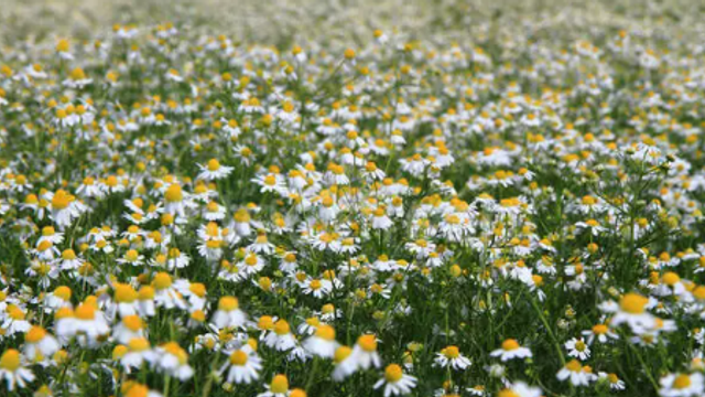 METEO | Vremea se menține frumoasă și caldă, în acest weekend 