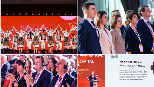 Congresul Mondial al Viei și Vinului | Adrian Oelofse, reprezentantul industriei vinului din Africa de Sud : „Vinurile moldovenești pot concura cu succes la orice nivel internațional” Congresul Mondial al Viei și Vinului | Adrian Oelofse, reprezentantul industriei vinului din Africa de Sud : „Vinurile moldovenești pot concura cu succes la orice nivel internațional”
