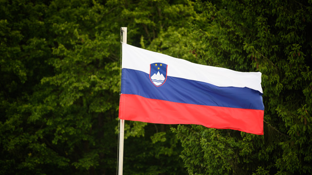 Membrii Comisiei pentru relații internaționale și afaceri europene din Consiliul Național al Sloveniei efectuează o vizită în Republica Moldova
 Membrii Comisiei pentru relații internaționale și afaceri europene din Consiliul Național al Sloveniei efectuează o vizită în Republica Moldova
