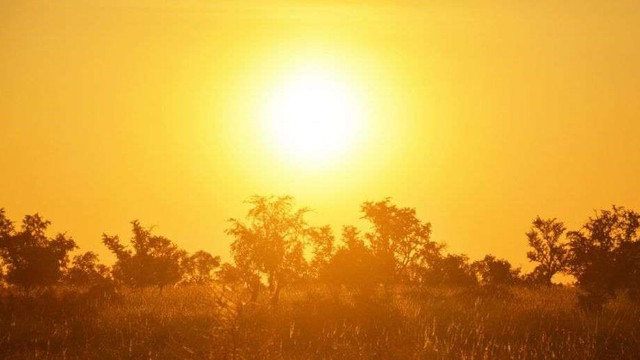 Cod galben de caniculă în localitățile din sudul și parțial centrul Republicii Moldova. Temperaturile vor urca până la 35 de grade Celsius Cod galben de caniculă în localitățile din sudul și parțial centrul Republicii Moldova. Temperaturile vor urca până la 35 de grade Celsius