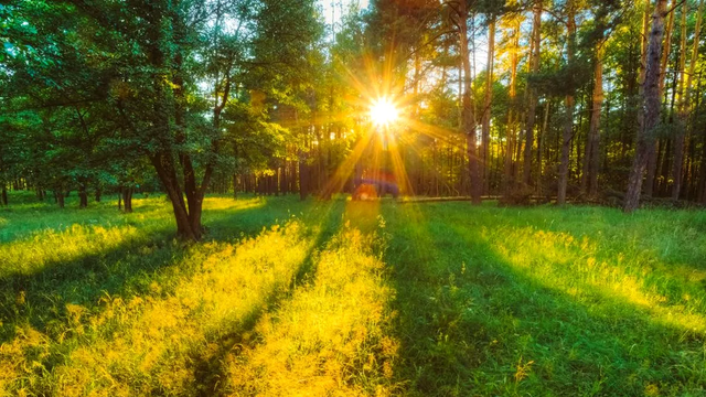 METEO | Vreme călduroasă, fără precipitații, anunță pentru vineri meteorologii