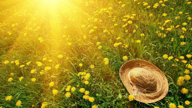 Ploi izolate și temperaturi ce vor urca până la 35 de grade Celsius, prognozate pentru astăzi, 27 iunie Ploi izolate și temperaturi ce vor urca până la 35 de grade Celsius, prognozate pentru astăzi, 27 iunie