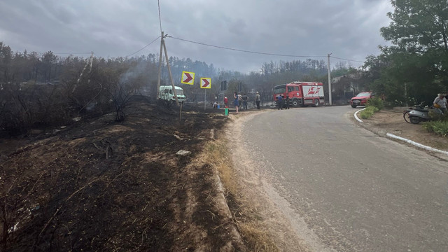 FOTO | Incendiu major de vegetație în raionul Căușeni. Pompierii au salvat două persoane și două case din calea flăcărilor FOTO | Incendiu major de vegetație în raionul Căușeni. Pompierii au salvat două persoane și două case din calea flăcărilor