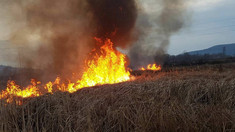 Cod galben de incendiu în sudul și parțial centrul Republicii Moldova 