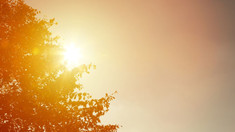 Meteorologii au emis un nou cod galben de caniculă